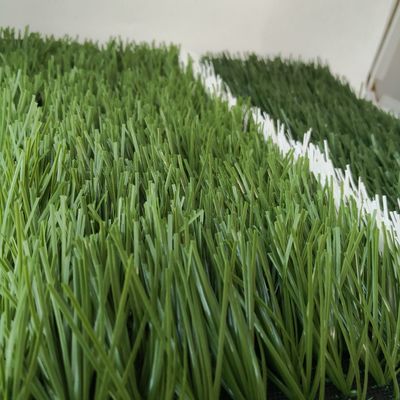 چمن میدان فوتبال در فضای باز با تراکم بالا با نرخ خیاط 16/10 سانتی متر