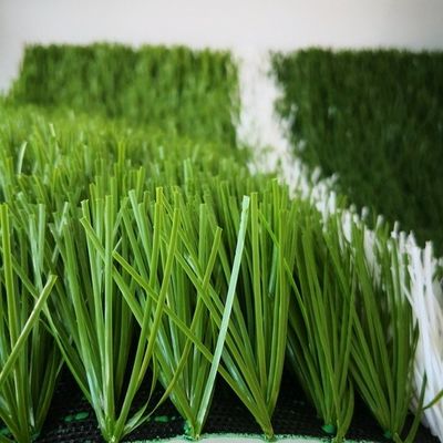 چمن میدان فوتبال در فضای باز با تراکم بالا با نرخ خیاط 16/10 سانتی متر