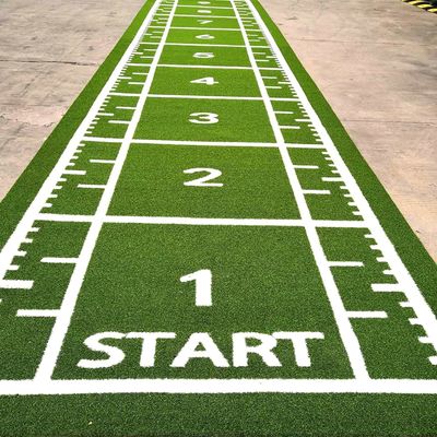 CE ISO9001 ISO14001 گواهینامه Dorelom آموزش ورزش فرش چمن برای کف ورزش