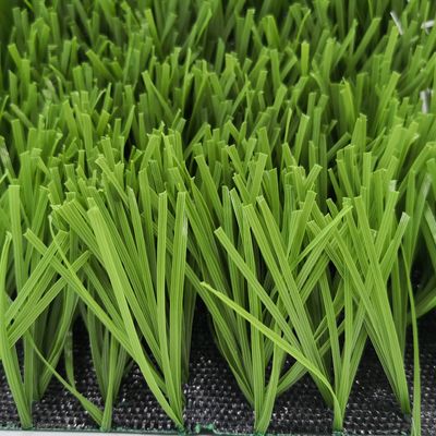 میدان فوتبال شکل W دو رنگ مقاوم در برابر UV PE Monofilament چمن مصنوعی