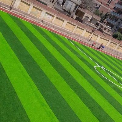 میدان فوتبال شکل W دو رنگ مقاوم در برابر UV PE Monofilament چمن مصنوعی
