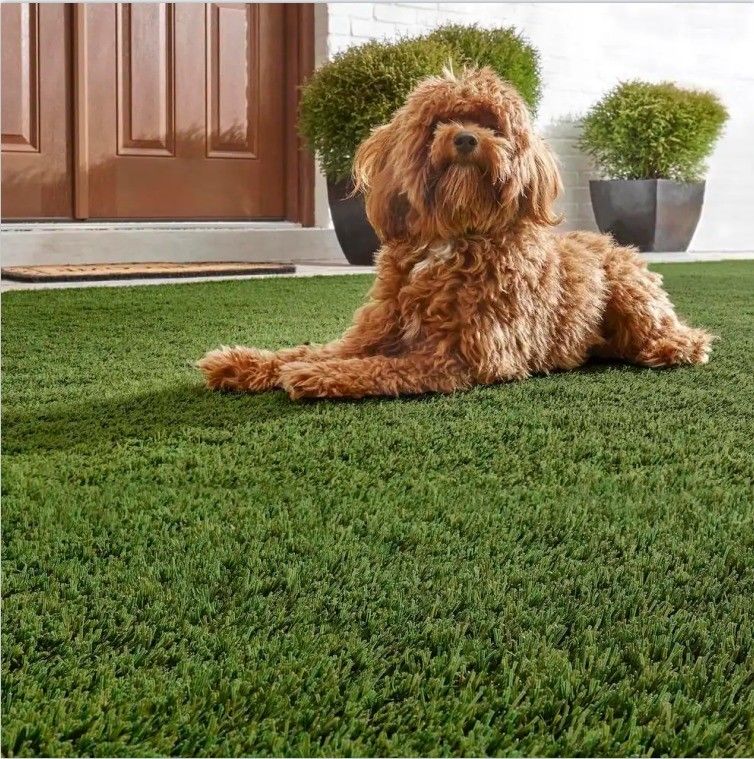 چمن مصنوعی با ظاهر طبیعی برای باغ و حیوانات خانگی 2m/4m*25m 3/8inch Guage